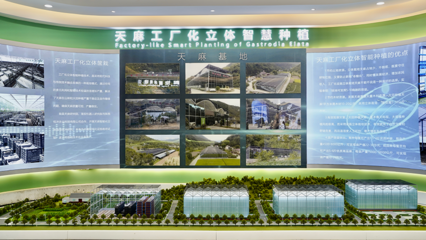 高質量發展看漢中 | 天麻之城:略陽示范園展現中藥材的未來之路