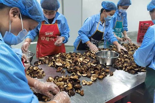 河南 鄉(xiāng)村發(fā)展多元化 拓寬農(nóng)民致富路